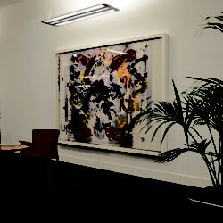 Project-Images-_0006_Elan-Perrigo123