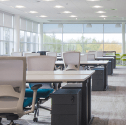 Bitmap - 37