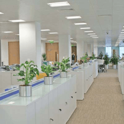 Bitmap - 9