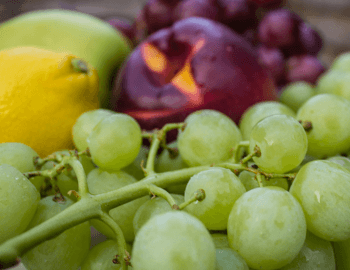 Fruit-feature_21