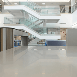 Bristol-Myers-Squib-Cruiserath