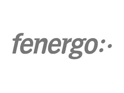 0089_Fenergo-logo-grey