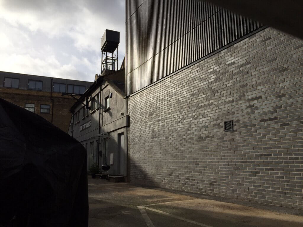 Blue Lion Place yard. Sun shining
